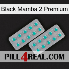 Black Mamba 2 Premium 29